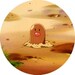 Buyer Avatar