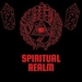 SpiritualRealmShop