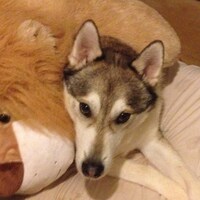 WhiteWolfsCandles