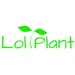 LolPlant
