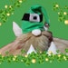Buyer Avatar