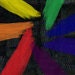 WarehouseRoyGBiv