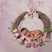 PixiedropsBackdrops