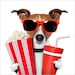 Buyer Avatar