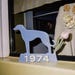 1974neon