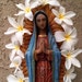 V Sanchez avatar