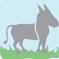 Halfadonkey