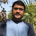 K. Sharma