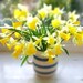 Joanne Symonds