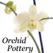 orchidpottery