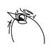 Lints