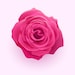 PartyFavoritesShop