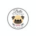 Bella the Pug Designs