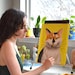 Kayla Owens