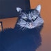 BlkCatDesignCo