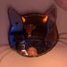 UniqueCatMirrors