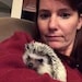 TrendyHedgehog