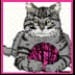knittykittie avatar