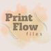 PrintFlowFiles