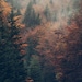 KhalesCreativeStudio