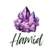 hamid1438