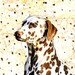 Amy Jean avatar