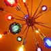 PALM BULBS