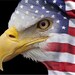Patriot Stars and Wall Art
