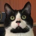 User photo