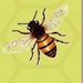 Honey Bee Handmade avatar