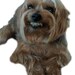 Buyer Avatar