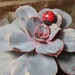 Buyer Avatar