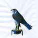 Roger Suda avatar