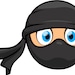 3DsNinja