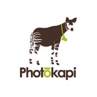 Photokapi