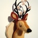 Buyer Avatar