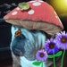 Buyer Avatar