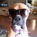Buyer Avatar