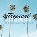 TropicalActivewear