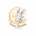 LunaBunnyStudio