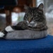 Buyer Avatar