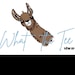 WhattheteeCo