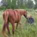 Familie Brendel