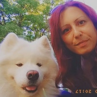 SamoyedArt