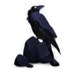 Raven