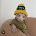 Buyer Avatar