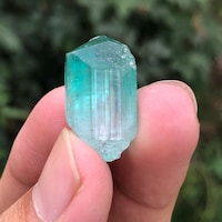 pcfgems