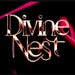 DivineNest