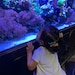 ChloesFund