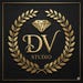 DVstoreStudio